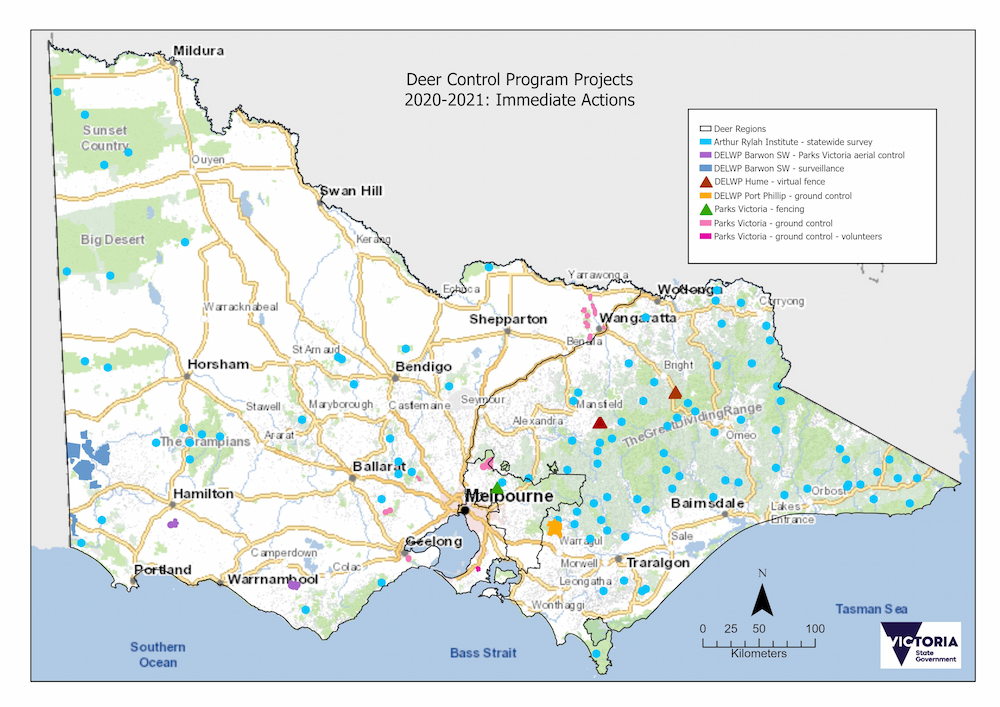 Deer Control 2020-2021 Immediate Actions