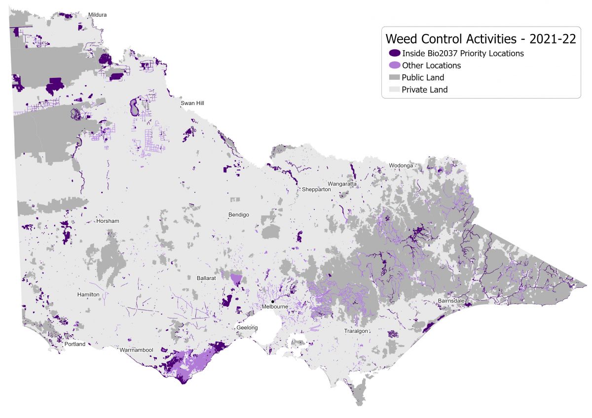 A map of Victoria, shaded with purple to indicate where weed control has been done in 2021-22