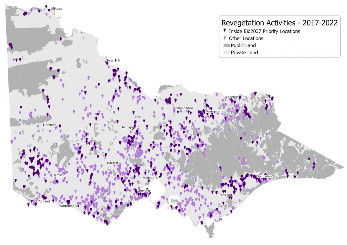 A map of Victoria, shaded with purple to indicate where revegetation has been done from 2017 to 2022