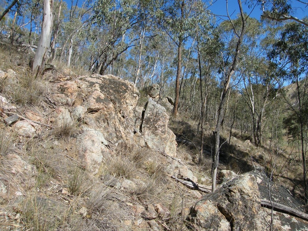 Bush land with lots of rocks and debris