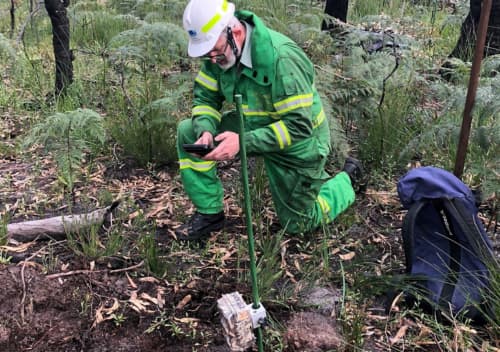 A man wearing a green and gold uniform kneels on the ground in a woodland. In his hand is a field camera,